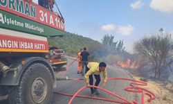 Hatay Yayladağı'nda Çıkan Yangın Kontrol Altına Alındı