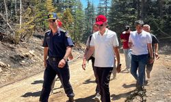 Karaman Valisi yangınların ardından incelemelerde bulundu
