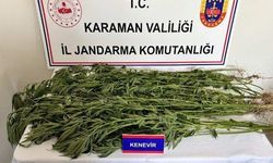 Karaman’da Suç Operasyonu: 51 Gözaltı