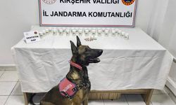 Kırşehir’deki operasyonda 1.823 sentetik hap ele geçirildi