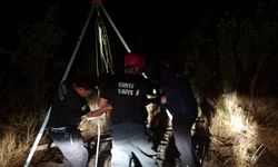 Kuyuya düşen koyun itfaiye tarafından kurtarıldı