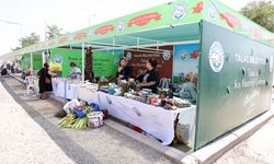 Talas'ta kışa hazırlık günleri