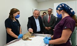 Vali Fidan'dan hayvan bakımevine ziyaret!