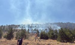 Anızda çıkan yangınının alevleri ormana sıçradı