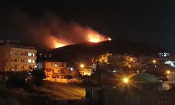 Antakya'daki orman yangını söndürüldü