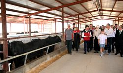 Bakan Yumaklı'dan Buzağıya Osimhen İsmi