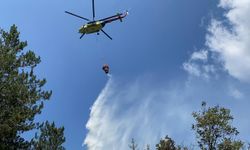 Bolu'da orman yangını kontrol altına alındı