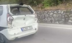 Bursa'da feci kamyonet kazası