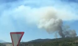Bursa'da Yangın