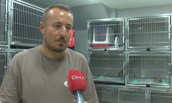 Bursa'da yangınlardan kaçarak 7 yavrusuyla maden ocağına sığındı