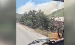 Bursa'nın İznik İlçesinde Maki Yangını Çıktı!