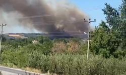 Çanakkale'de bir orman yangını daha