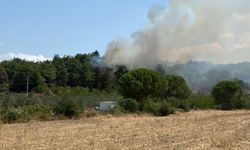 Çanakkale'de korkutan orman yangını