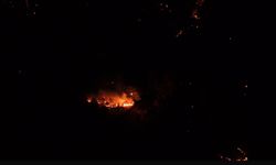 Çanakkale'de Orman Yangını