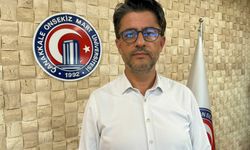 Çanakkale'deki İki Büyük Yangının Zararı Uydudan Görüntülendi