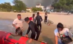 Çanakkale'deki Orman Yangınlarında 348 Kişi Kurtarıldı