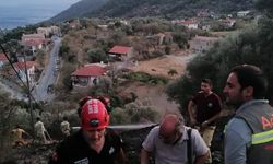 Datça'daki zeytinlik yangını söndürüldü