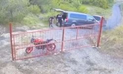 Define ararken ormanı yaktılar