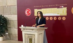 DEM Parti Komisyon'un isminde demokrasi kavramında ısrarcı