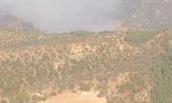 Denizli yangını Aydın'a sıçradı