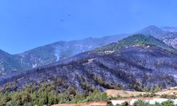 Hatay'daki orman yangını ikinci gününde