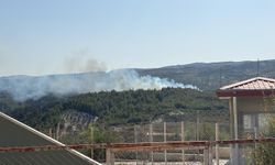 Hatay'daki orman yangınıyla mücadele 16,5 saat sürdü