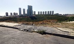 İstanbul'da kaldırım taşı hırsızlığı