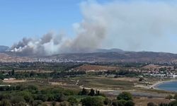 İzmir'de ormanı alevler sardı!