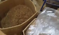Kaçak sigara imalathaneye baskın