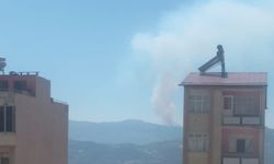 Karaman'da orman yangını çıktı!
