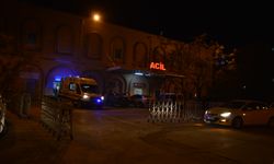 Küçük çoğun kayalıklardan düşrek öldüğü iddiası