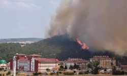 Makilikte çıkan yangın, tarlaya sıçradı