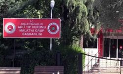 Malatya'da Otomobil Yayaya Çarptı