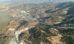 Milas'taki yangın söndürüldü