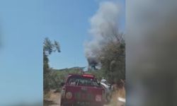Mudanya'da bağ evinde yangın