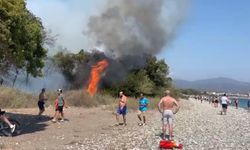 Muğla'da orman yangını çıktı