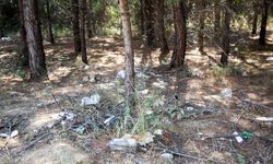 Otizmli Çocuklardan Ormanlara Duyarlı Dokunuş