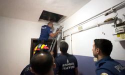 Polis cezaevi firarisi çatıda yakaladı