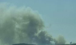 Silifke'de 3 ayrı orman yangını