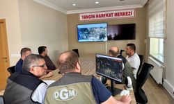 Sinop'taki orman yangını kontrol altında!