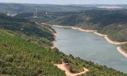 Sultangazi Cebeci Deresi’nde kirlilik alarmı: Ölen hayvanlar var