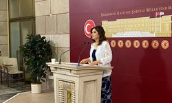 Sürecin hukuksal teminatının sağlanması gerektiğini kaydetti