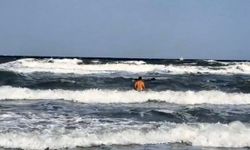 Tekirdağ'da denize giren kişi kayboldu