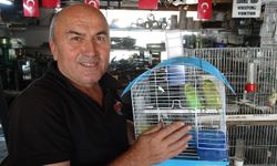 Ufak Dükkanında Kuşları İle Çalışıyor
