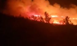 Urla'da orman yangını