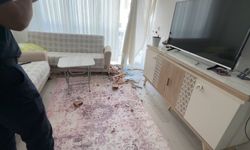 Yıkım sırasında bina devrildi