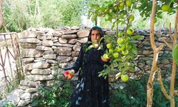 Yüksekova'da Ekşi Elma Mesaisi Başladı