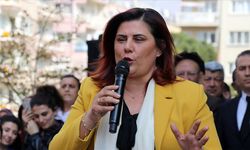 'Topuklu Efe' Çerçioğlu CHP’den istifa etti