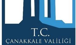 Vali Toraman, yangın bölgelerinde inceleme yaptı