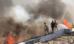 Hatay'da orman yangını devam ediyor!